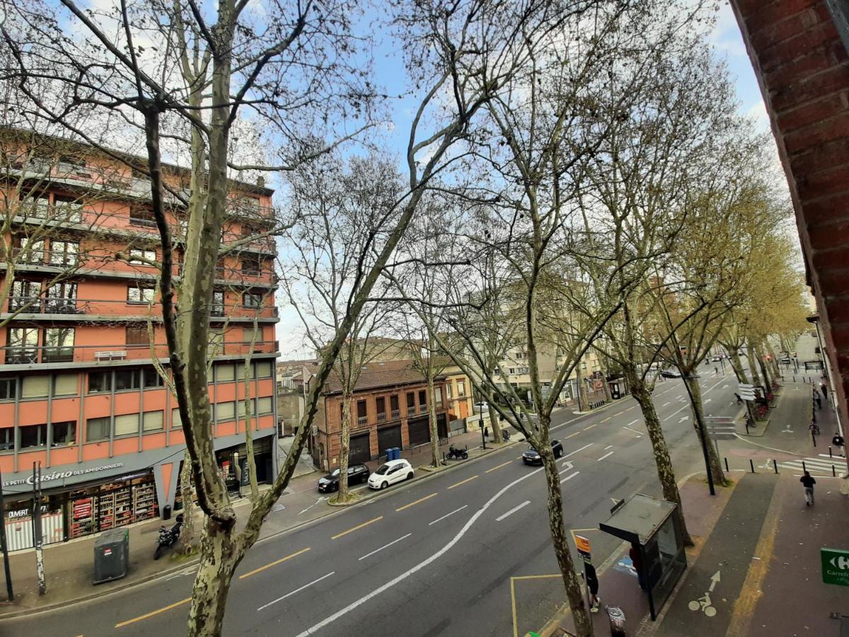 Appartement Pont Des Catalans Toulouse Ngoại thất bức ảnh
